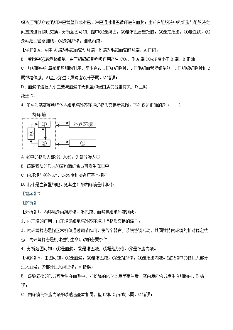 河北省沧州市2024-2025学年高二上学期9月月考生物试题（Word版附解析）03
