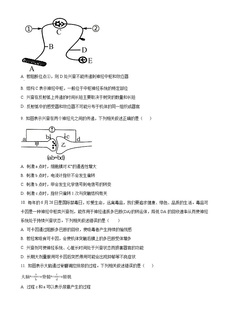 河北省沧州市2024-2025学年高二上学期9月月考生物试题（Word版附解析）03