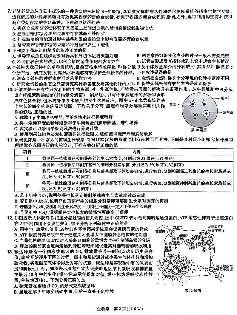 东北三省精准教学2024-2025学年高三上学期9月联考生物试卷第2页