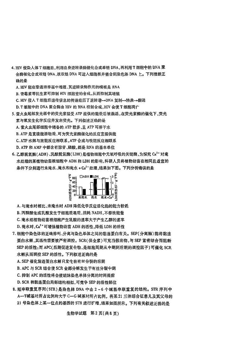 湖南省天一大联考2025届高三上学期第一次联考生物试题（扫描版附解析）02