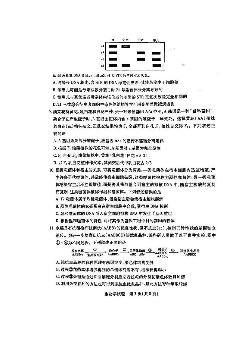 湖南省天一大联考2025届高三上学期第一次联考生物试题（扫描版附解析）03