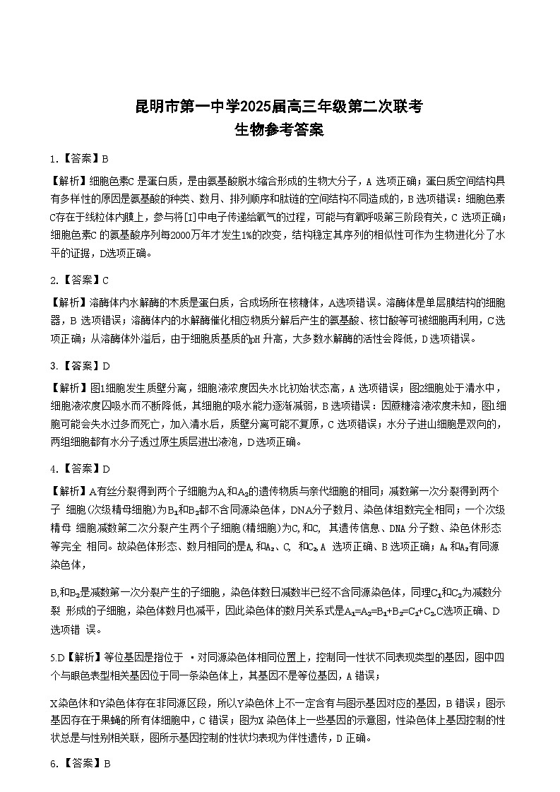 云南省昆明市第一中学2025届高三上学期第二次联考生物答案第1页