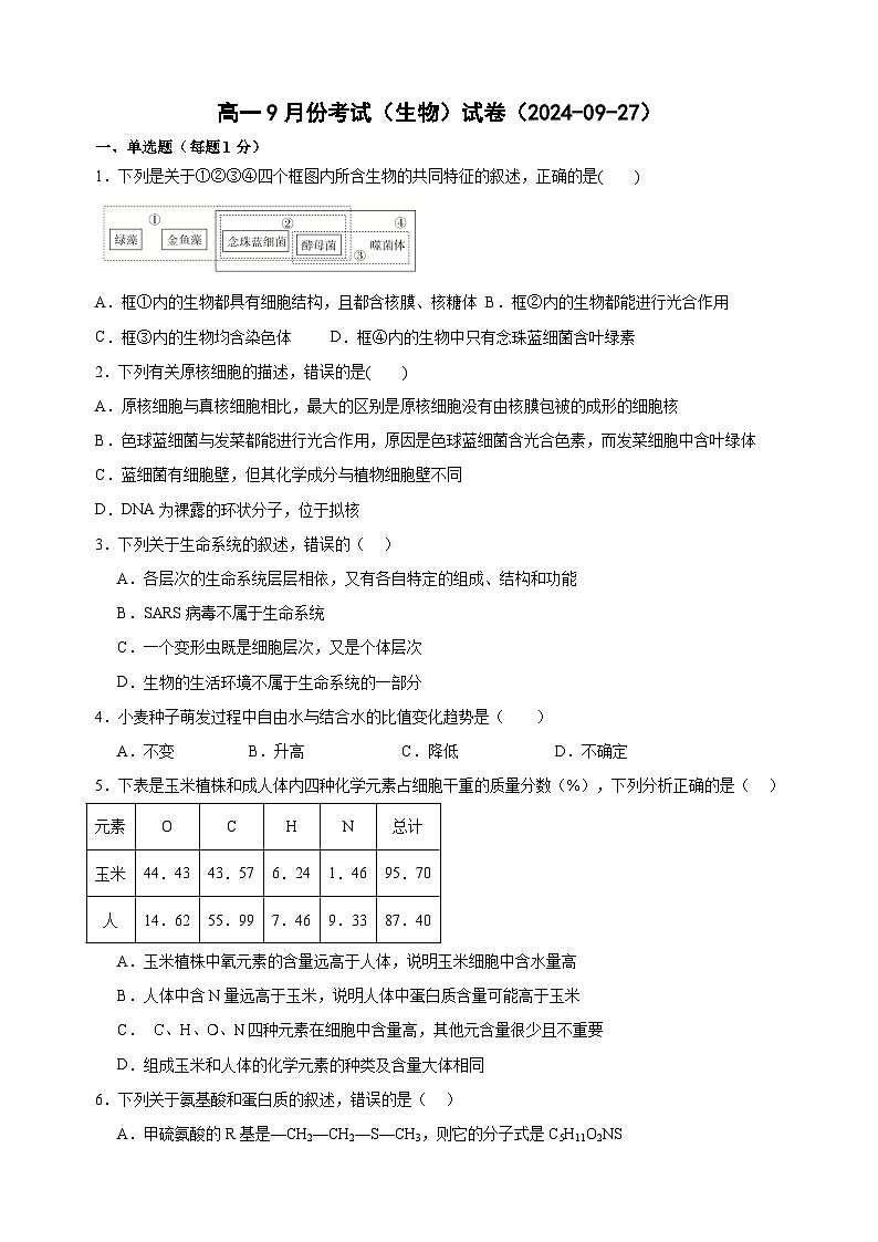 黑龙江省鹤岗市萝北县高级中学2024-2025学年高一上学期9月月考生物试题01