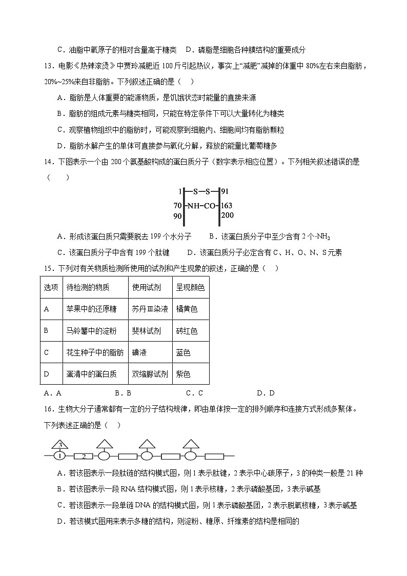 黑龙江省鹤岗市萝北县高级中学2024-2025学年高一上学期9月月考生物试题03