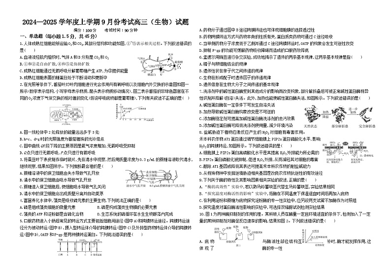 2024-09-26  高三9月份考试（生物）试题第1页