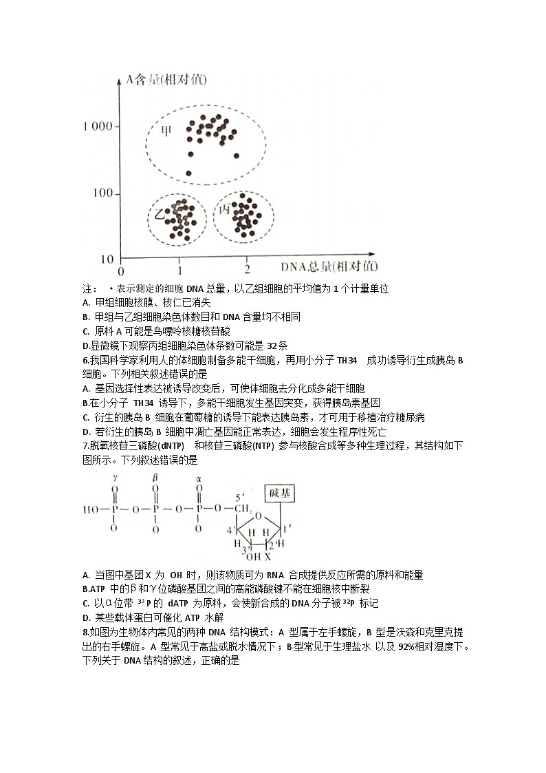 湖南省长沙市长郡中学2024-2025学年高三上学期月考试卷二生物试题第2页