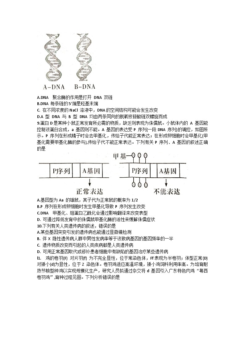 湖南省长沙市长郡中学2024-2025学年高三上学期月考试卷二生物试题第3页