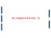 高中生物人教版必修1课件第1章第2节细胞的多样性和统一性