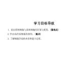 高中生物人教版必修1课件第1章第2节细胞的多样性和统一性