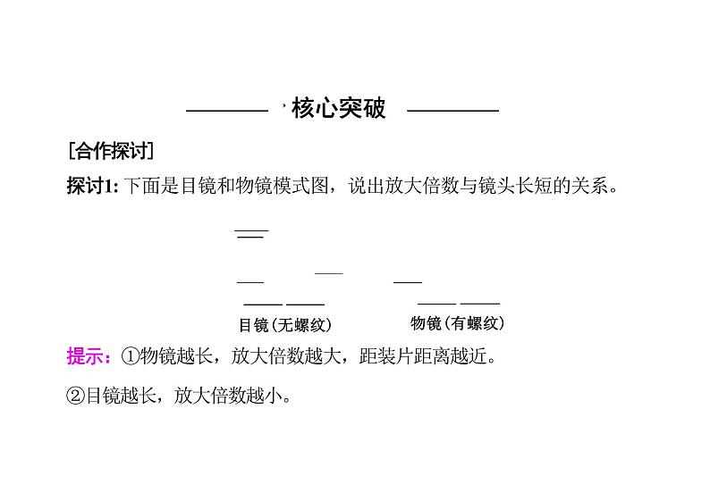 高中生物人教版必修1课件第1章第2节细胞的多样性和统一性05