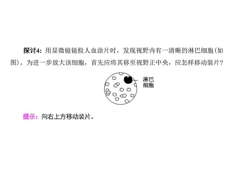 高中生物人教版必修1课件第1章第2节细胞的多样性和统一性08