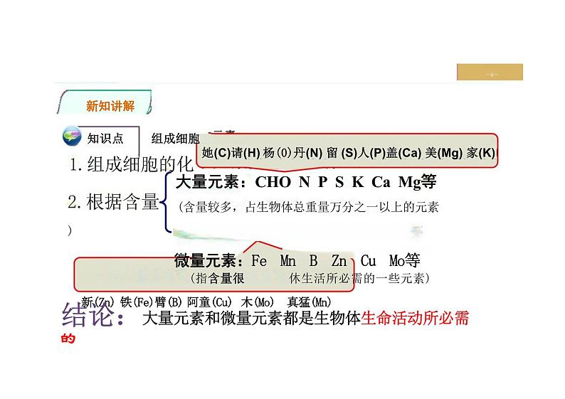 新教材人教版高中生物必修一课件 第1节  细胞中的元素和化合物第6页