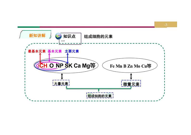 新教材人教版高中生物必修一课件 第1节  细胞中的元素和化合物第7页