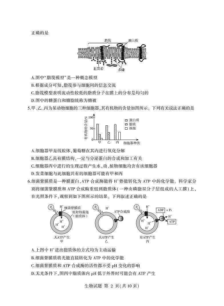 山东省临沂市2023-2024学年高二下学期期末考试+生物试卷（含答案）02