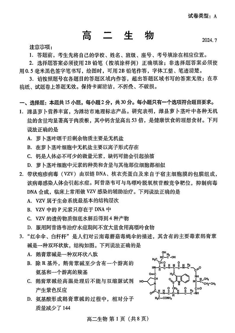 山东省潍坊市2023-2024学年高二下学期期末测试+生物试卷第1页