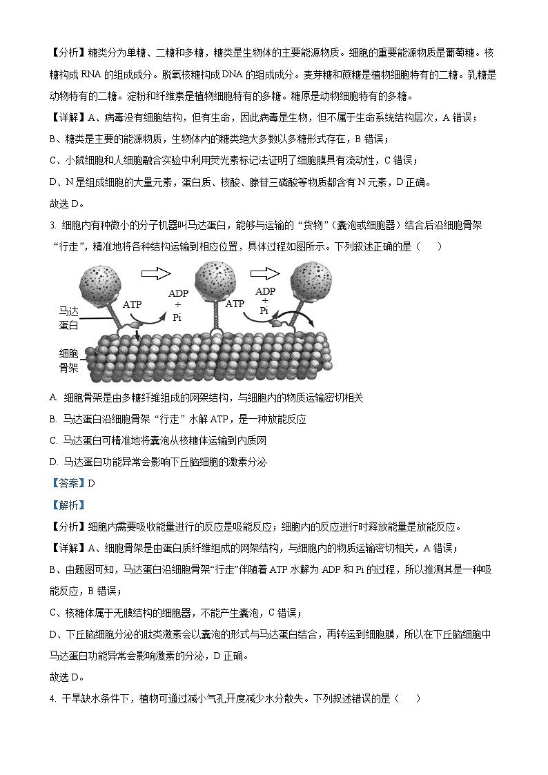 武汉外国语2023-2024学年度高二下学期期末考试+生物试卷答案第2页