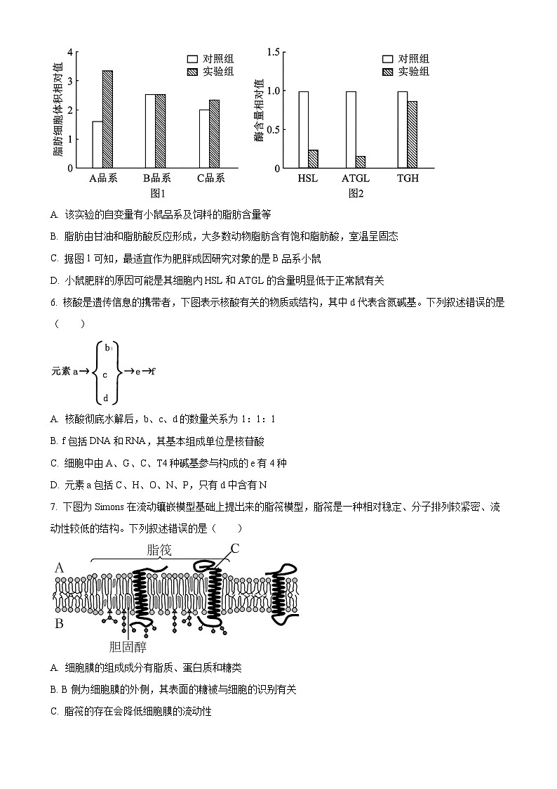 重庆市巴蜀学校高2025届高二（下）期末考试+生物试卷第3页