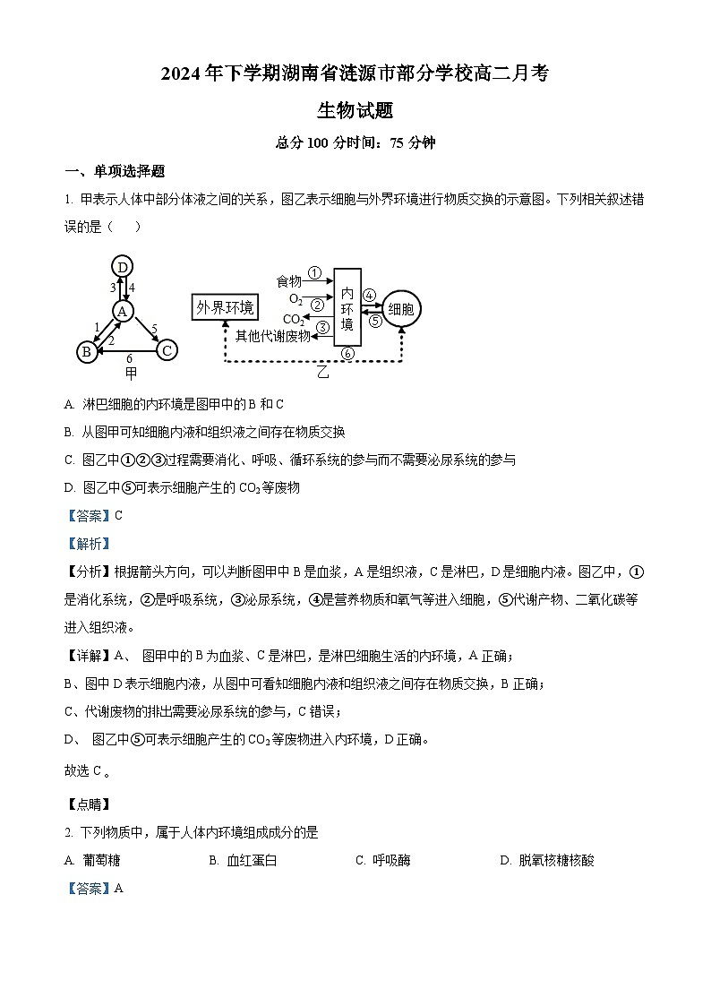 湖南省涟源市部分学校2024—2025学年高二上学期9月考试生物试题（解析版）01