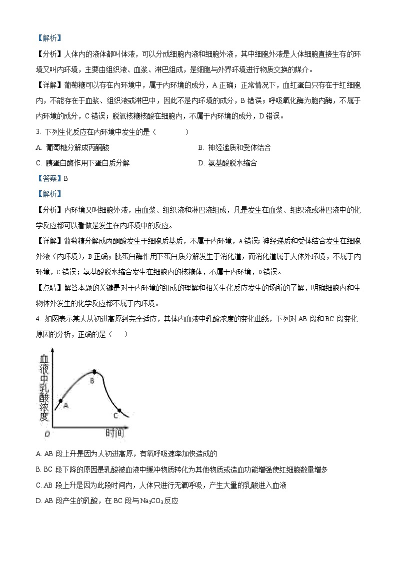 湖南省涟源市部分学校2024—2025学年高二上学期9月考试生物试题（解析版）02