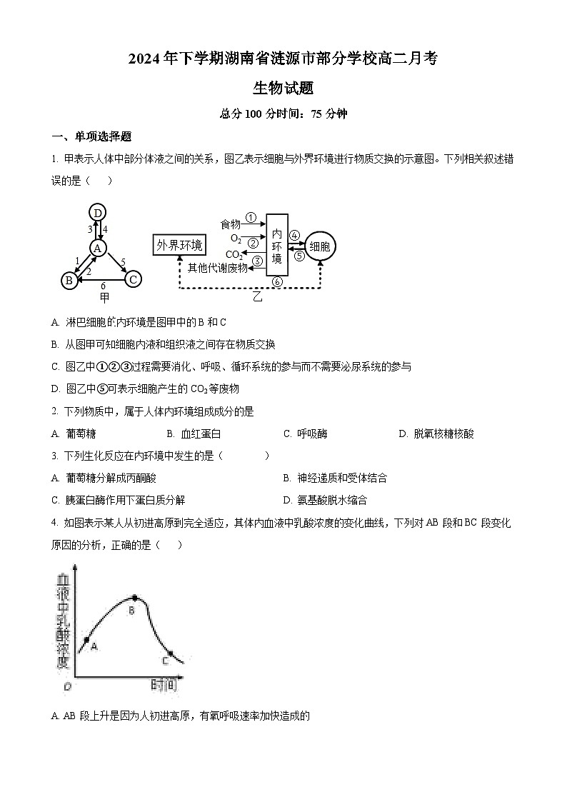 湖南省涟源市部分学校2024—2025学年高二上学期9月考试生物试题（原卷版）01