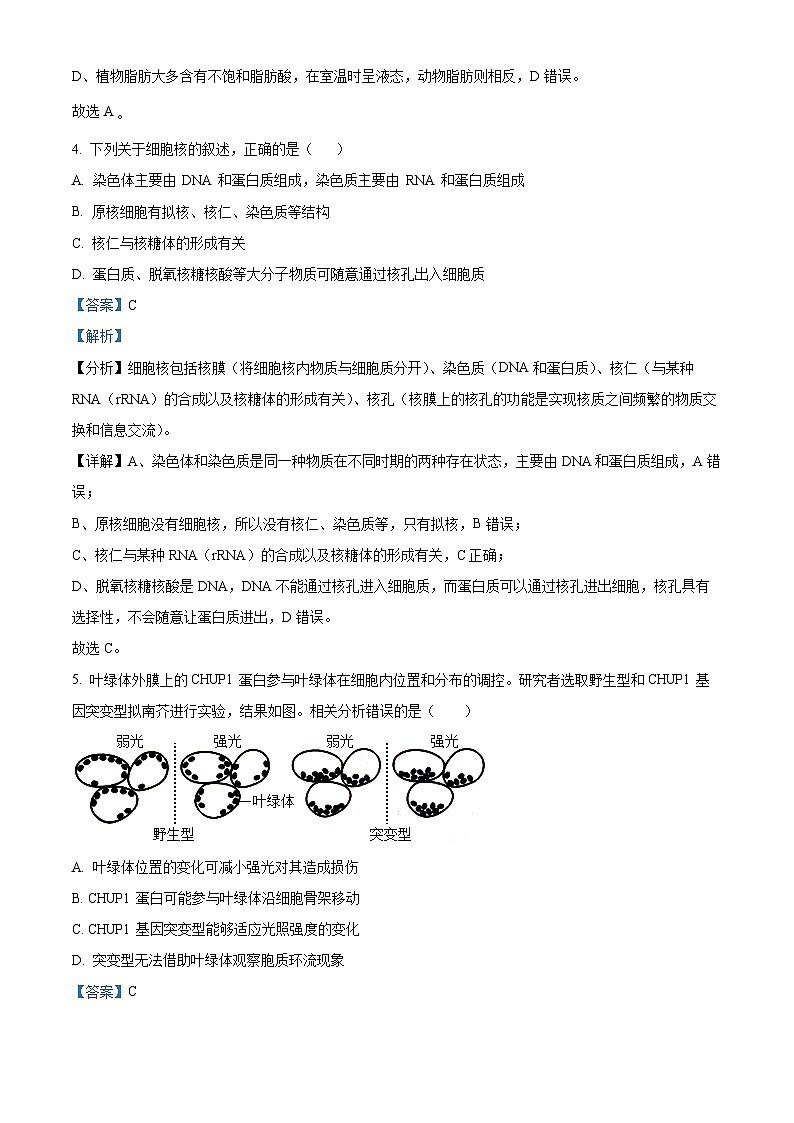 湖南省长沙市周南教育集团2024-2025学年高三上学期10月月考生物试题（解析版）第3页