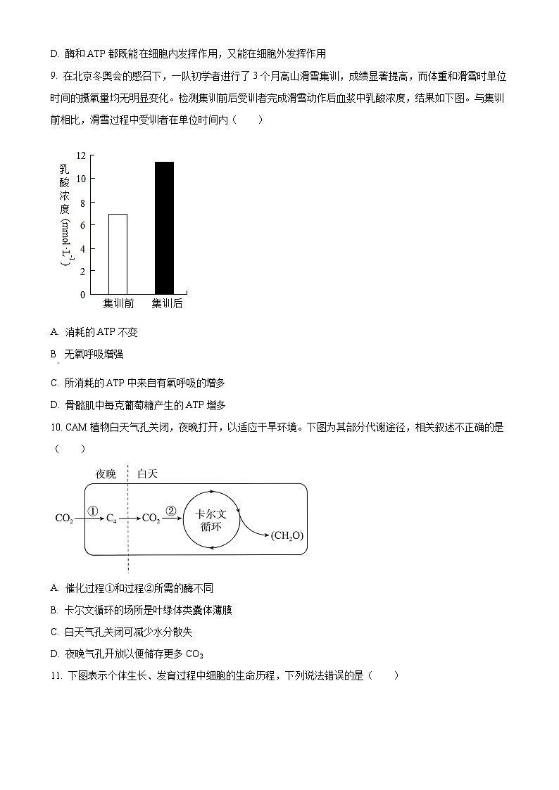 湖南省长沙市周南教育集团2024-2025学年高三上学期10月月考生物试题（原卷版）第3页
