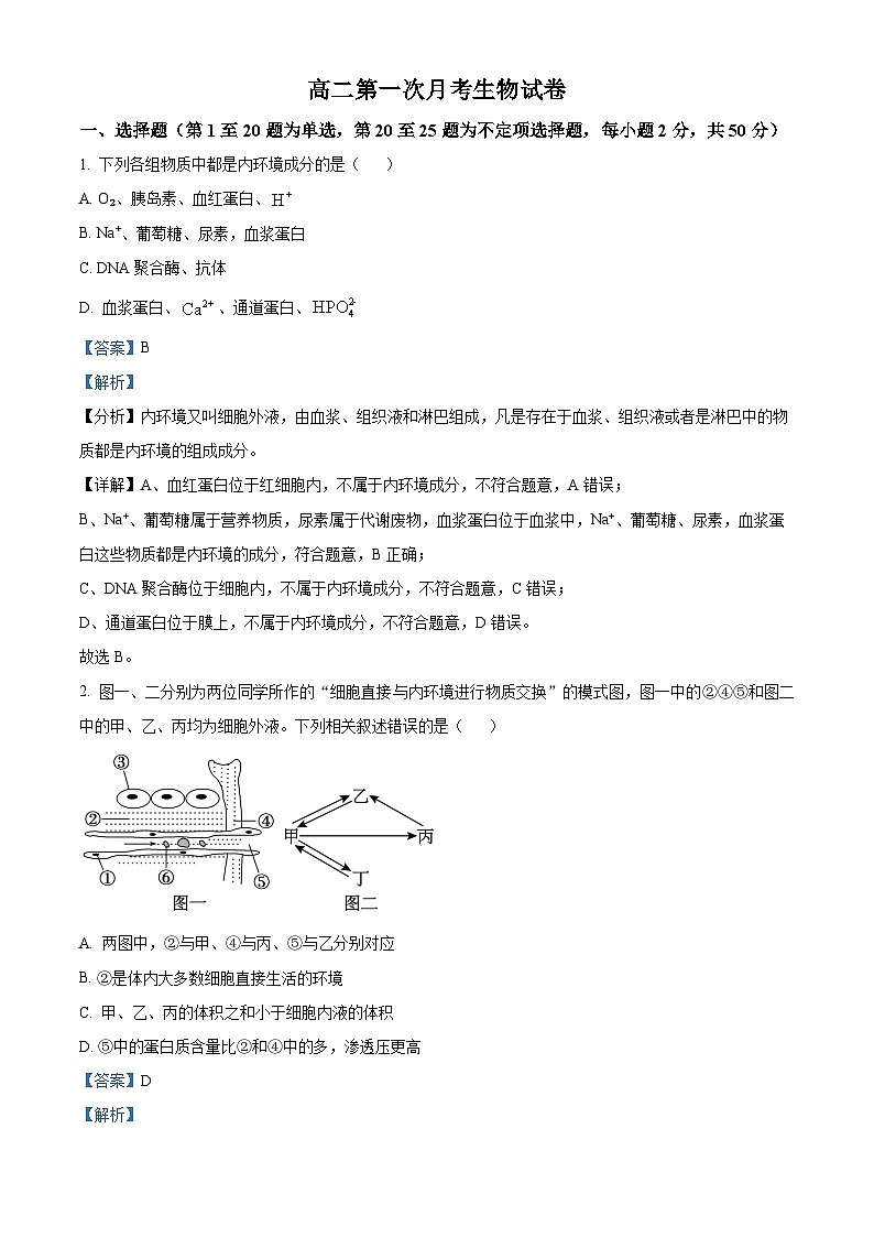 云南省宣威市长征中学2024-2025学年高二上学期9月第一次月考生物试题（解析版）第1页