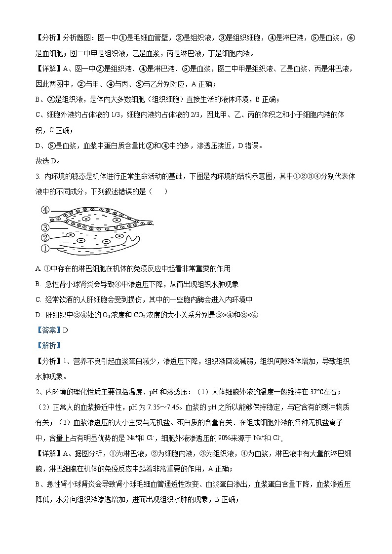 云南省宣威市长征中学2024-2025学年高二上学期9月第一次月考生物试题（解析版）第2页