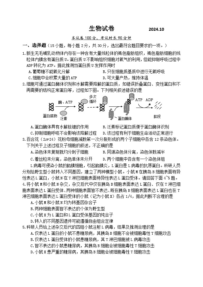 北京市延庆区第一中学2024-2025学年高三上学期10月考试生物试题01