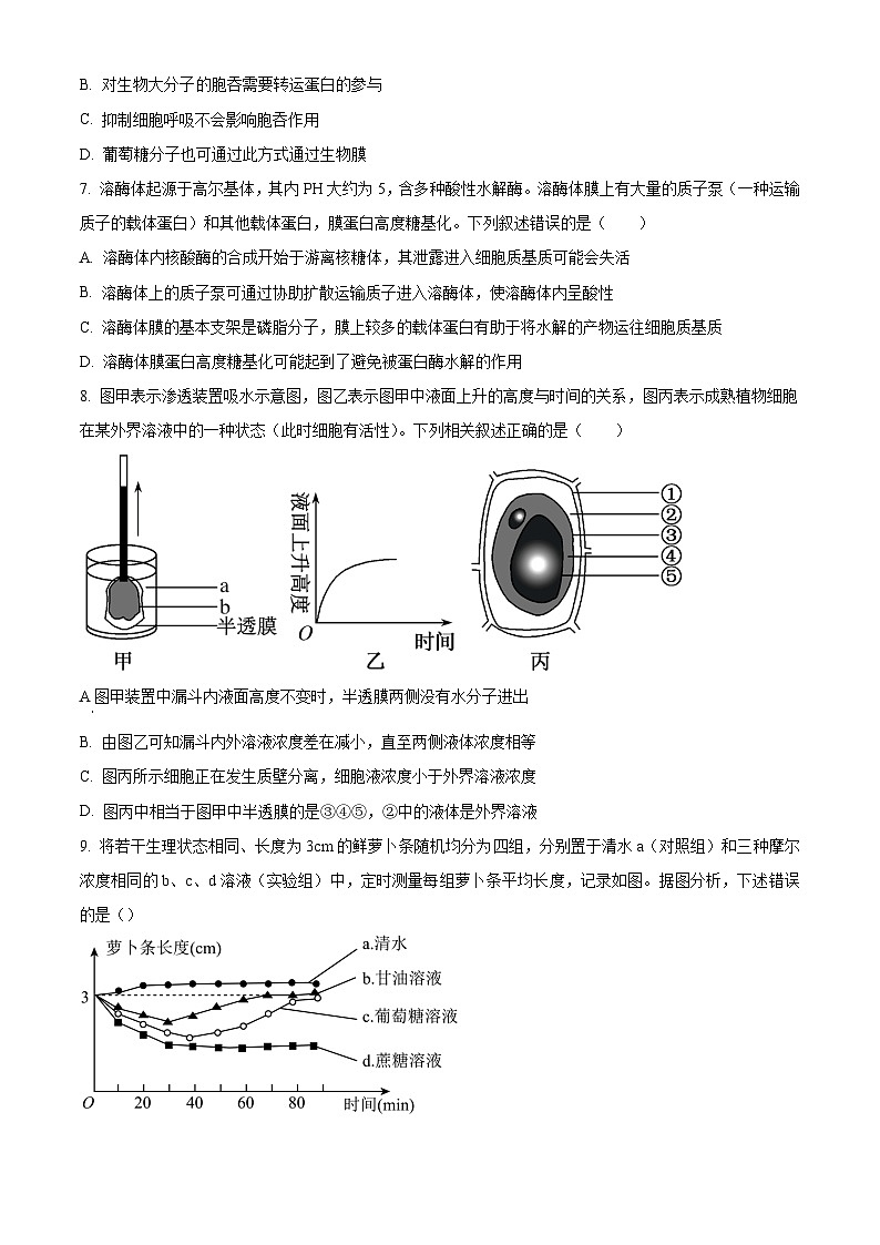 2025届银川高三第二次月考试卷+生物（含答案）03
