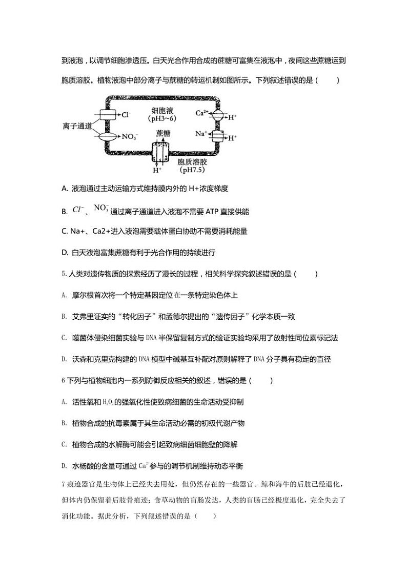 [生物]江苏省淮安市涟水县第一中学2024_2025学年高三上学期9月份阶段性检测试题(有答案)第2页