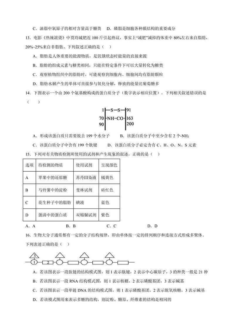 [生物]黑龙江省鹤岗市萝北县高级中学2024～2025学年高一上学期9月月考试题(有答案)第3页