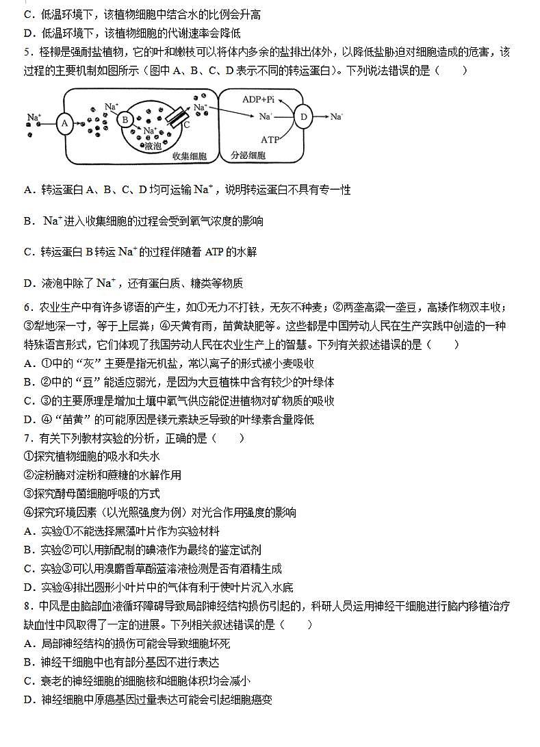 2024-2025学年河南创新发展联盟高三上学期9月联考（二）生物试卷及答案02