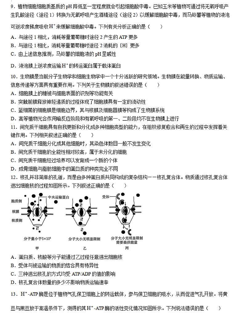 2024-2025学年河南创新发展联盟高三上学期9月联考（二）生物试卷及答案03