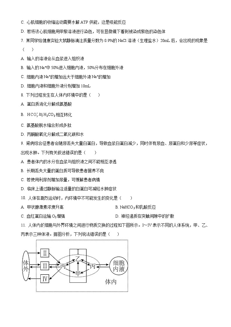 云南省昭通市镇雄县第一高级中学2024-2025年高二上学期第一次月考生物试题（原卷版）第2页