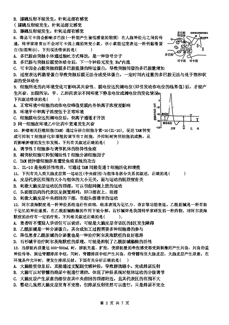 陕西省西安市碑林区铁一中学2024-2025学年高二上学期第一次月考生物试题第2页