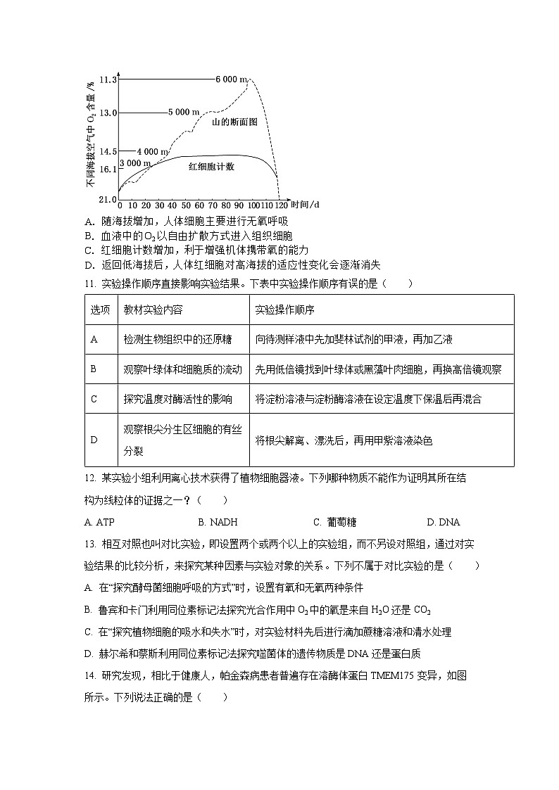 甘肃省天水市第二中学2024-2025学年高三上学期10月月考生物试题第3页