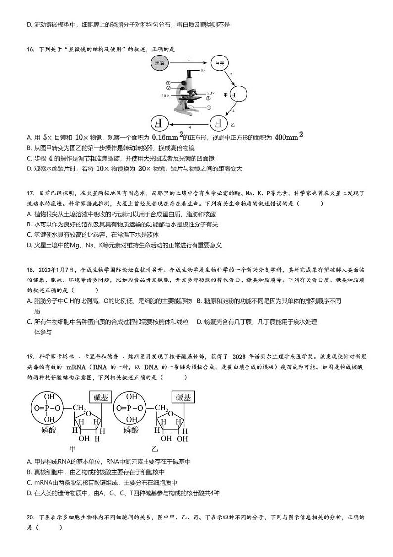 [生物]2024～2025学年江苏南通启东市高一上学期月考试卷(第一中学等校第二次)(原题版+解析版)03