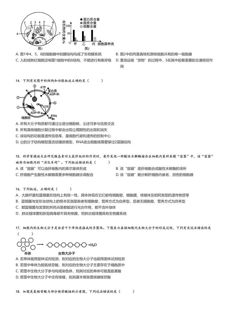 [生物]2024～2025学年吉林船营区吉林市第一中学高一上学期月考试卷(第一次)(原题版+解析版)03