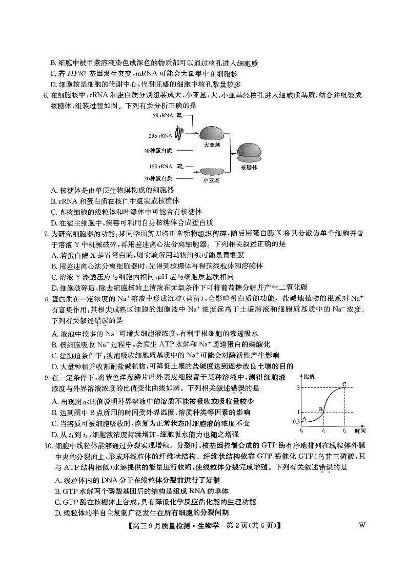 九师联盟2024-2025学年高三上学期9月质量检测生物试卷及答案第2页