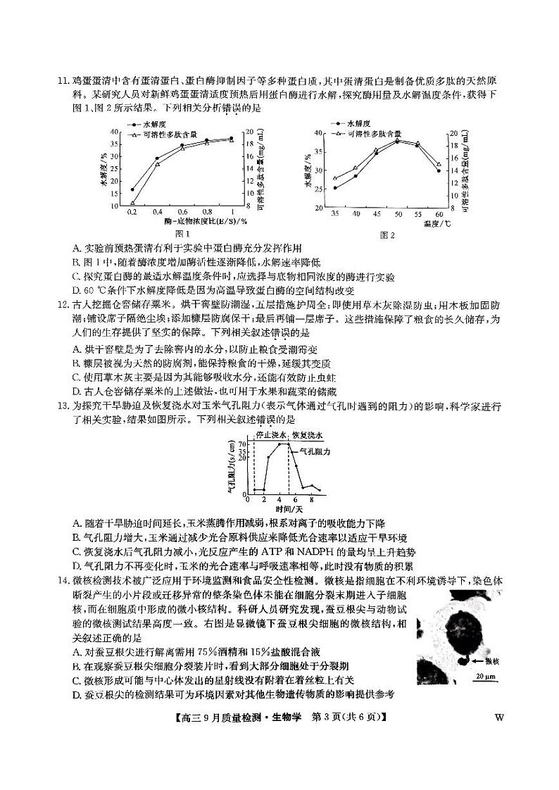 九师联盟2024-2025学年高三上学期9月质量检测生物试卷及答案第3页
