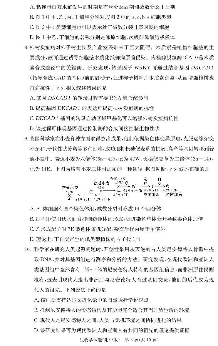 湖南省湖南师范大学附属中学2025届高三上学期月考（二）生物试卷03