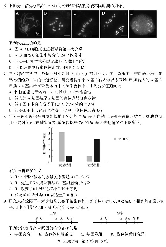 朝阳区2023一2024学年第一学期高三生物学期中试卷03
