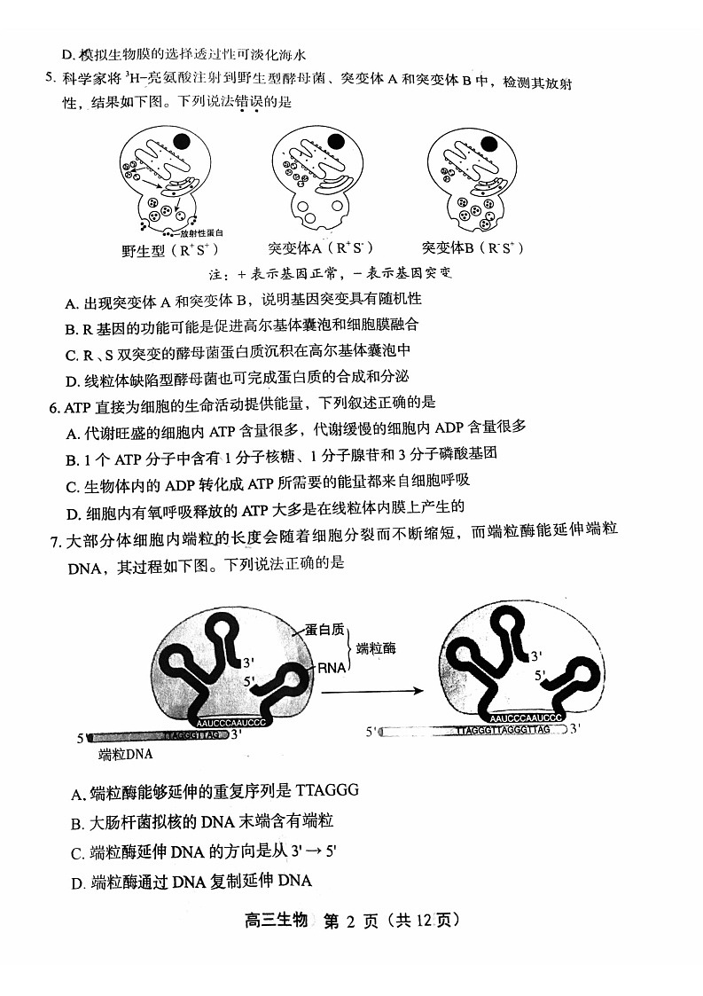 丰台区2023一2024学年第一学期高三生物学期中试卷02