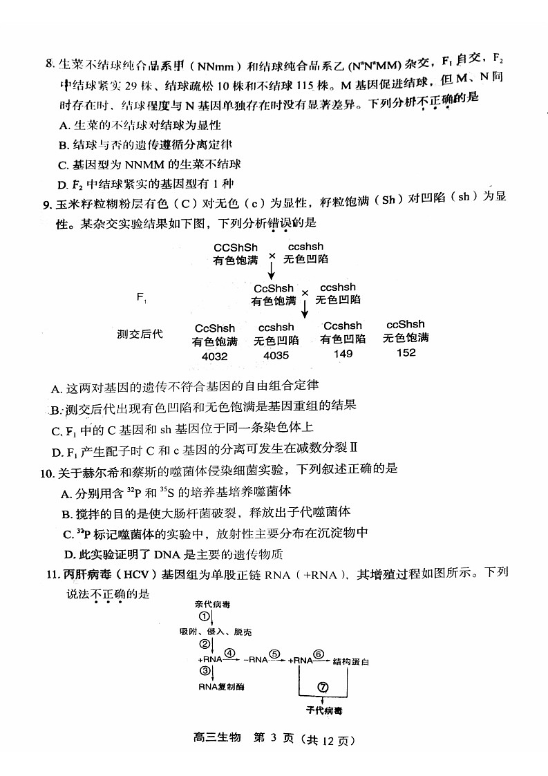 丰台区2023一2024学年第一学期高三生物学期中试卷03