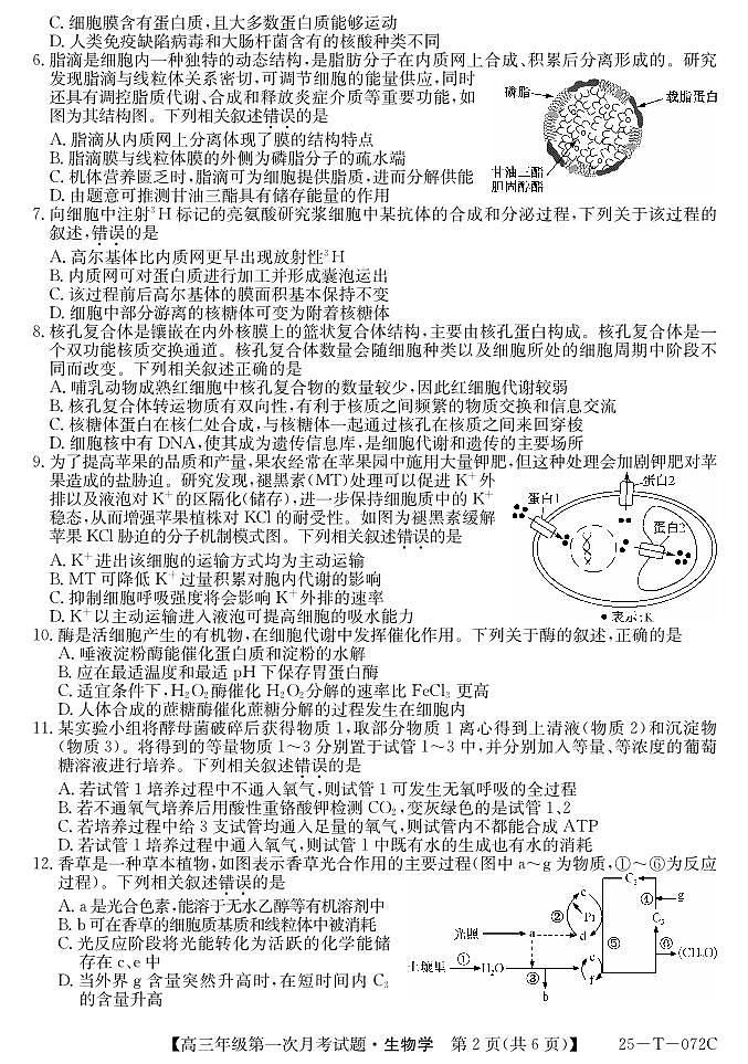 25-T-072C-生物第2页