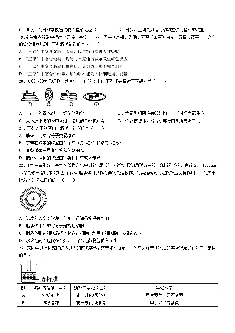 浙江省四校联考2024-2025学年高一上学期10月月考生物试题03