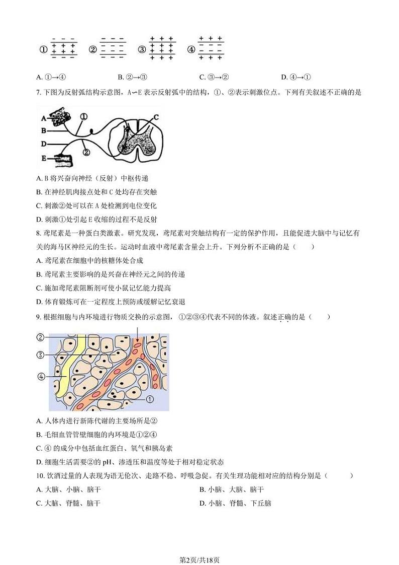 [生物]2023北京北师大附中高二上学期10月月考试卷(有答案)02