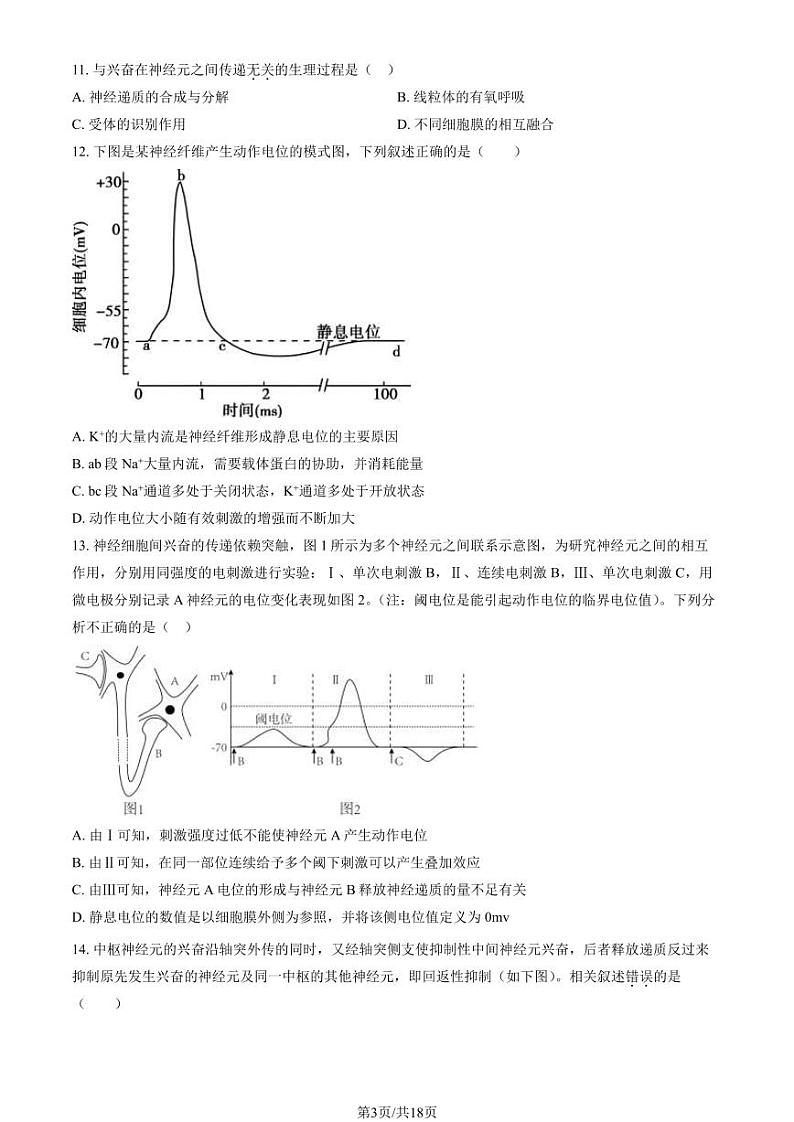 [生物]2023北京北师大附中高二上学期10月月考试卷(有答案)03