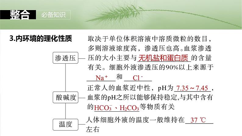 2025届高三一轮复习生物：人体的内环境与稳态课件第8页